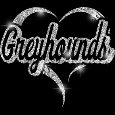 GLT77 SILVER GLITTER Thumbnail