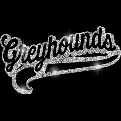 GLT78 SILVER GLITTER Thumbnail